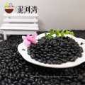 small black kidney bean /black bean price